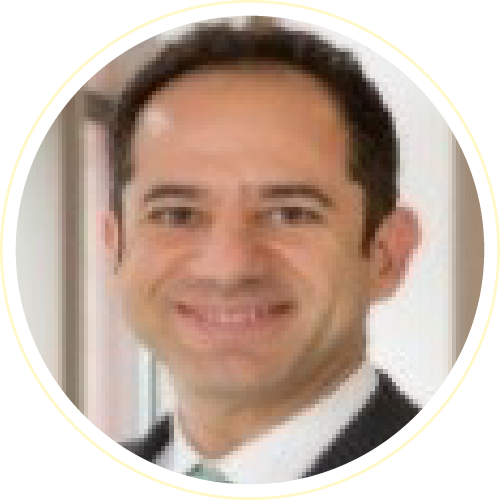 Dr. Adel M. Malek